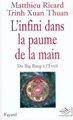 L'infini dans la paume de la main